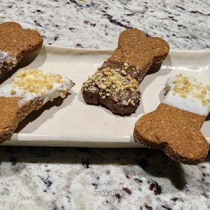 Four Freshly Baked Cookies Arranged Neatly on a White Plate