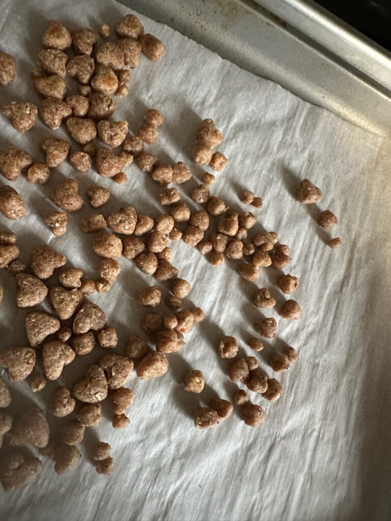 A Tray Filled with Various Nuts Placed on a Baking Sheet